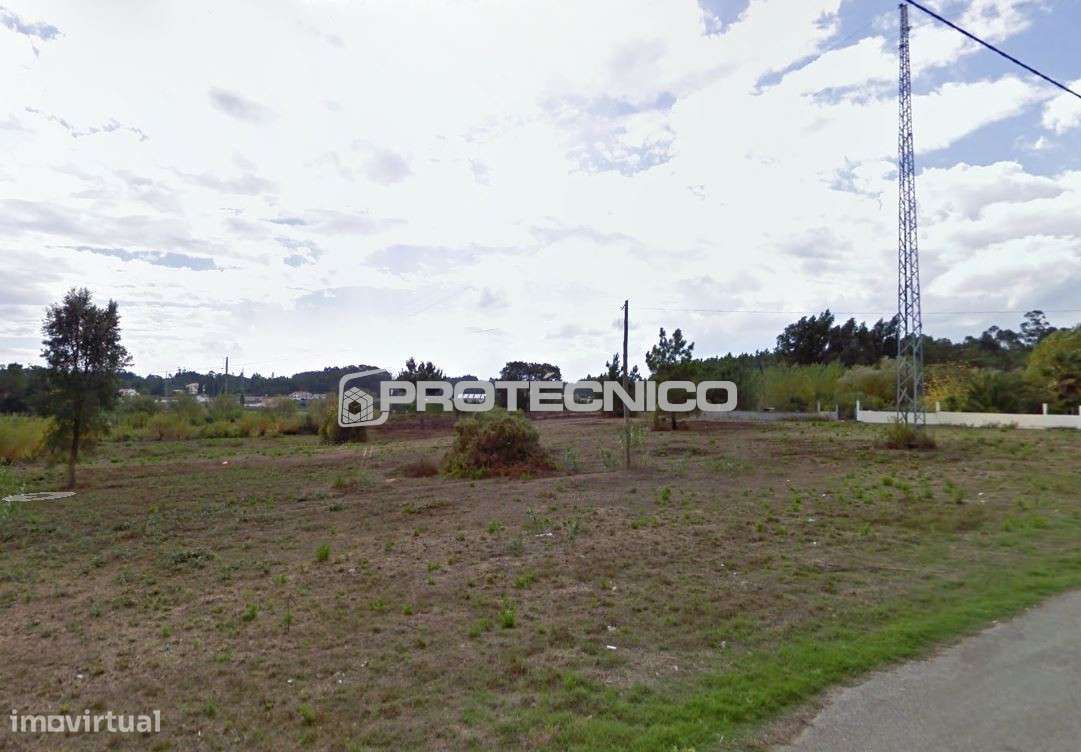 Terreno Caneira - Venda - Grande imagem: 4/6