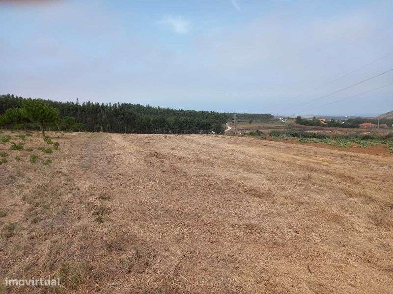 Terrenos (Arrendamento/Venda) - TORRES VEDRAS - Grande imagem: 4/4