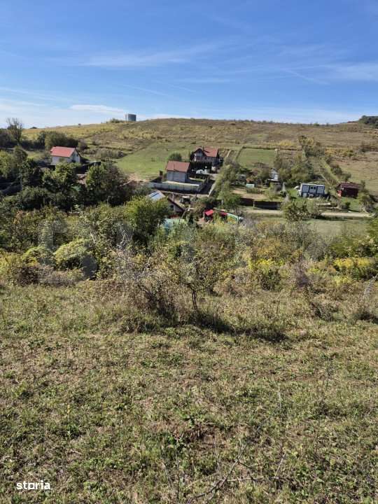 Parcela 12000 mp teren intravilan de vanzare in Livezeni - Imagine principală: 4/5