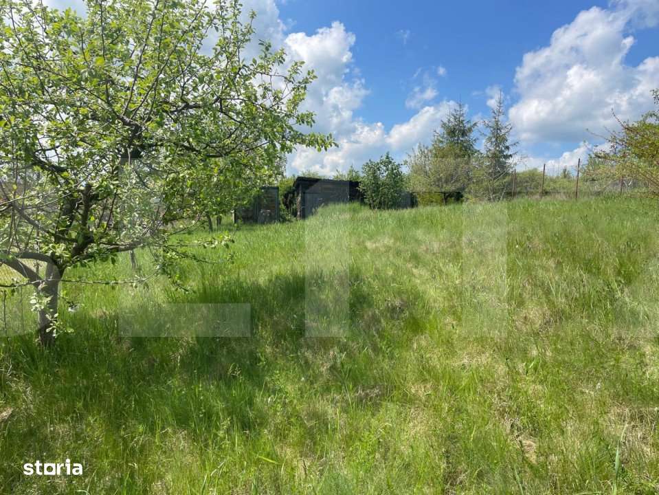 Oferta! Teren intravilan, 494 mp, zona Lombului - Imagine principală: 3/7