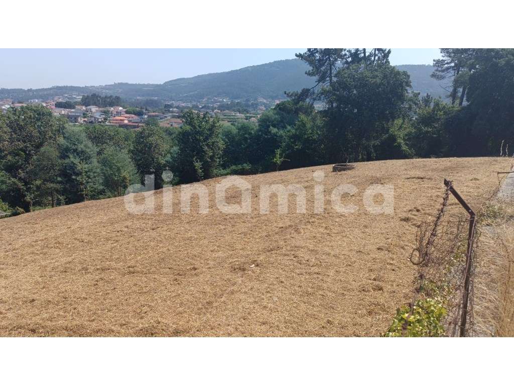 Novidade - Santo Tirso! T3 Duplex-11