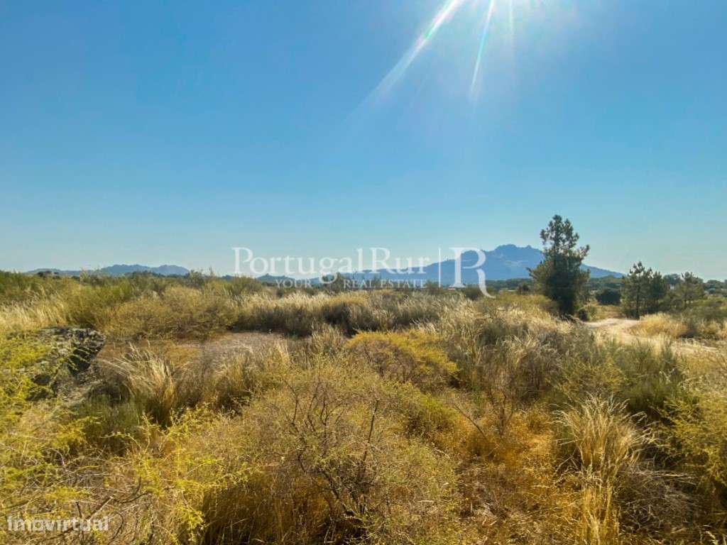 Terreno Rústico em Monsanto - Grande imagem: 5/17