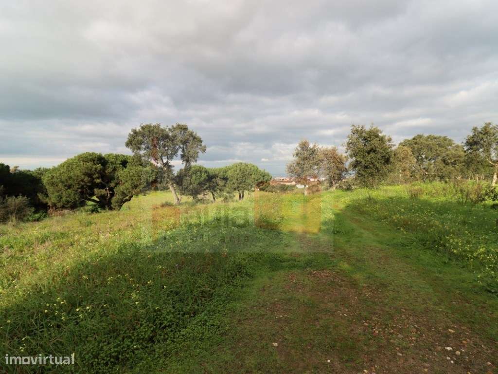 TERRENO COM 5.5HA ALCOCHETE-6