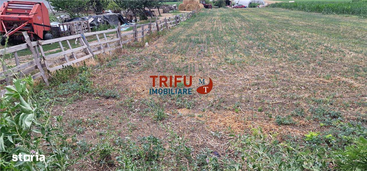 Teren de vanzare - Imagine principală: 2/6