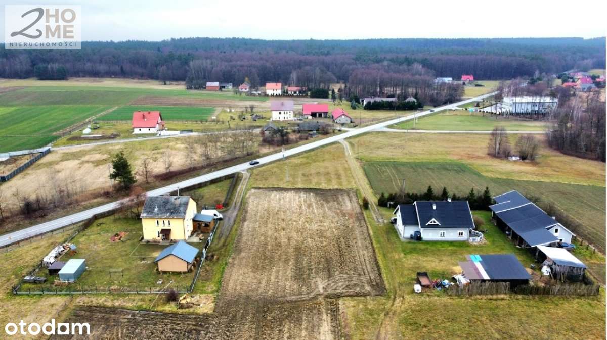 40 arów z WZ w Janowcu-6