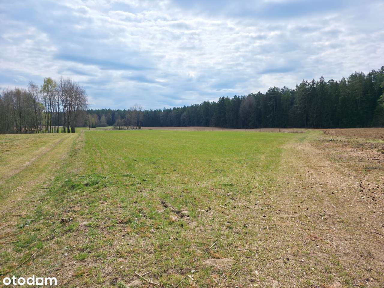 Maćkowa Ruda gm. Krasnopol - działka rolna 2,7776 ha-3