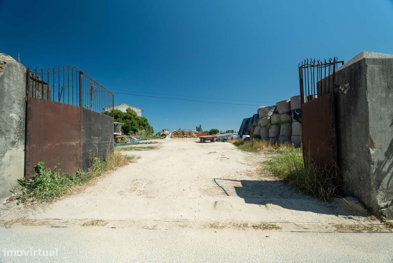 Terreno para venda - Murtosa-7