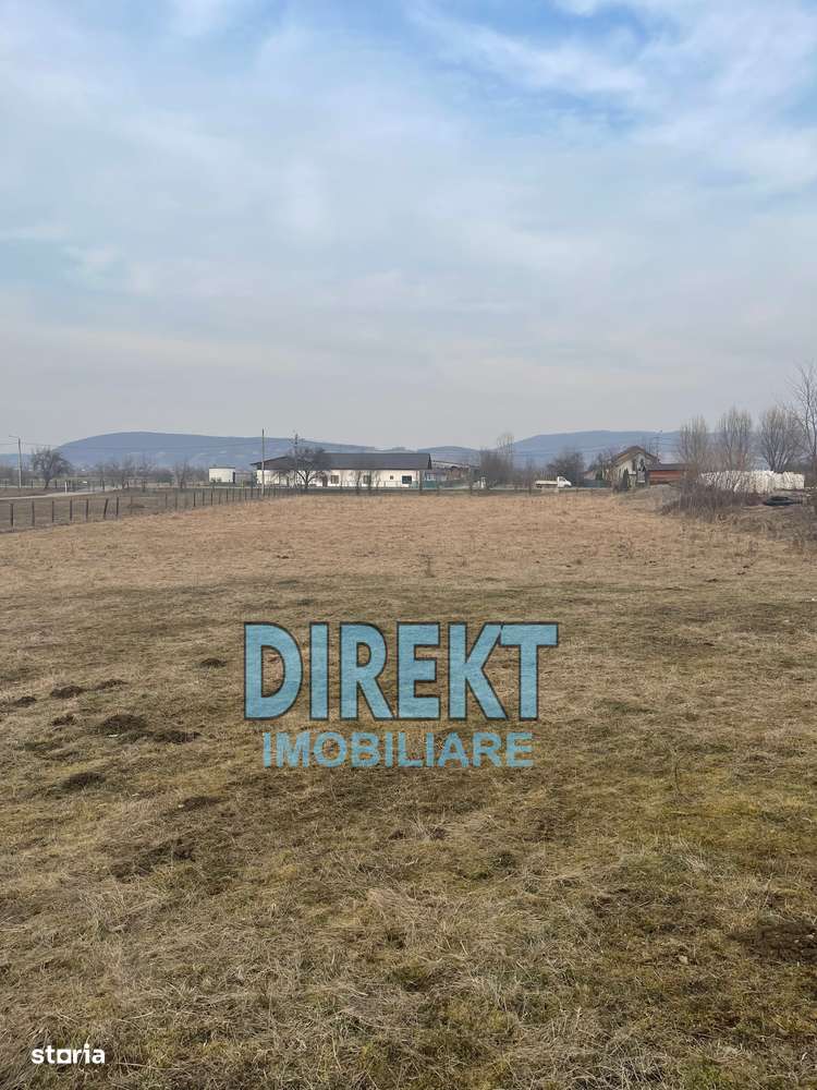 Teren de vanzare, localitatea Sirioara - Imagine principală: 1/2
