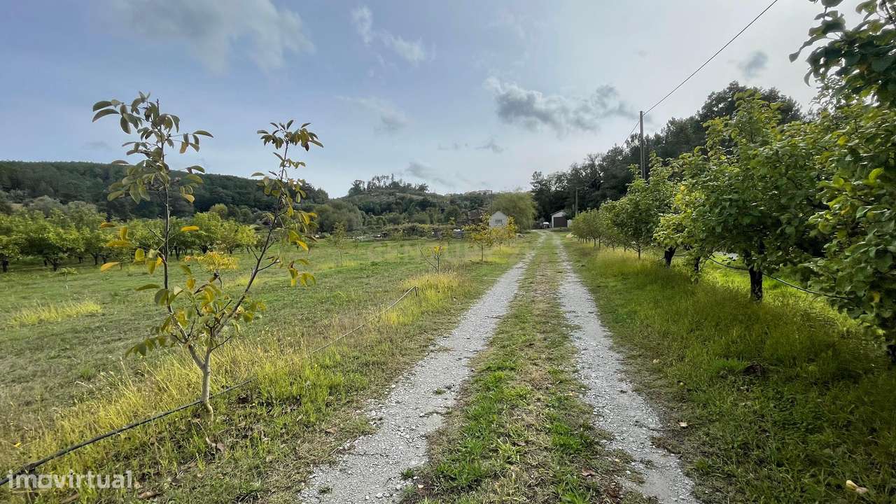 Terreno com Casa | Alcaide, Fundão - Grande imagem: 3/27