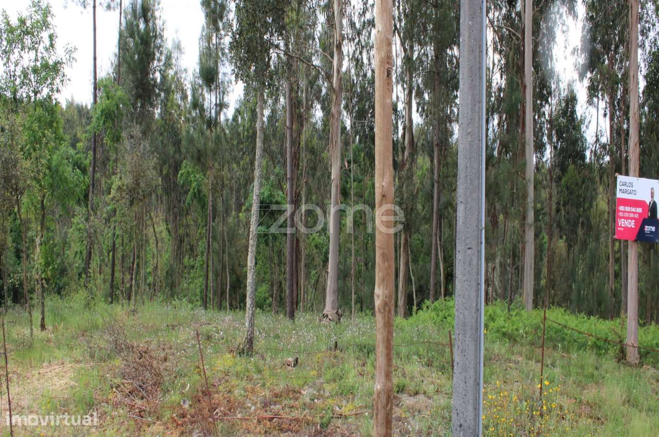 Lote com 45% de Implantação - Grande imagem: 3/30