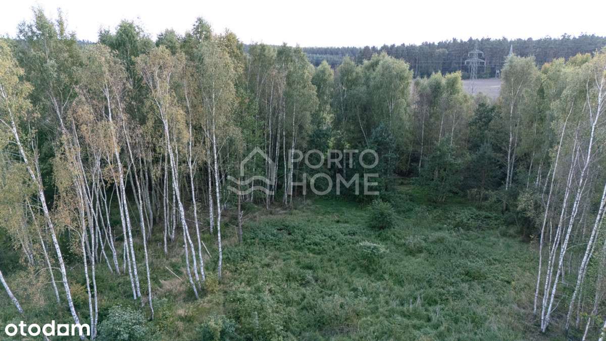 Działka budowlana przy lesie - Gdańsk Kokoszki - Pełny obrazek: 4/4
