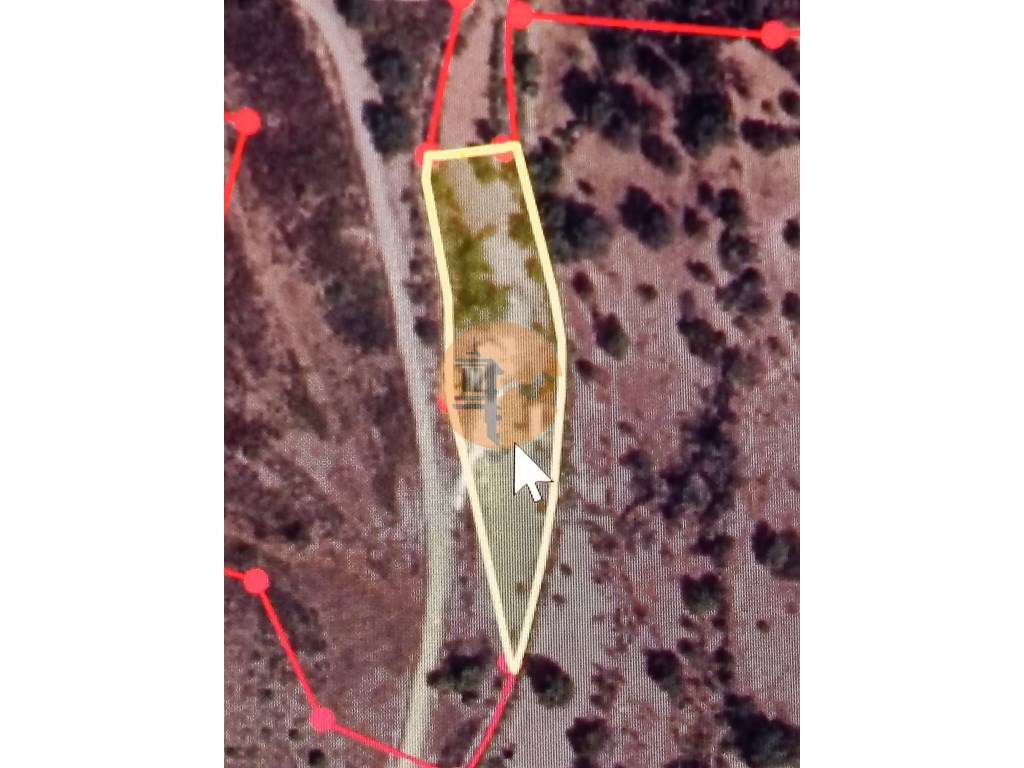 TERRENO RUSTICO COM 2.320 M2 - PLANO - ÁGUA - ELETRICIDADE - PISA B... - Grande imagem: 2/60