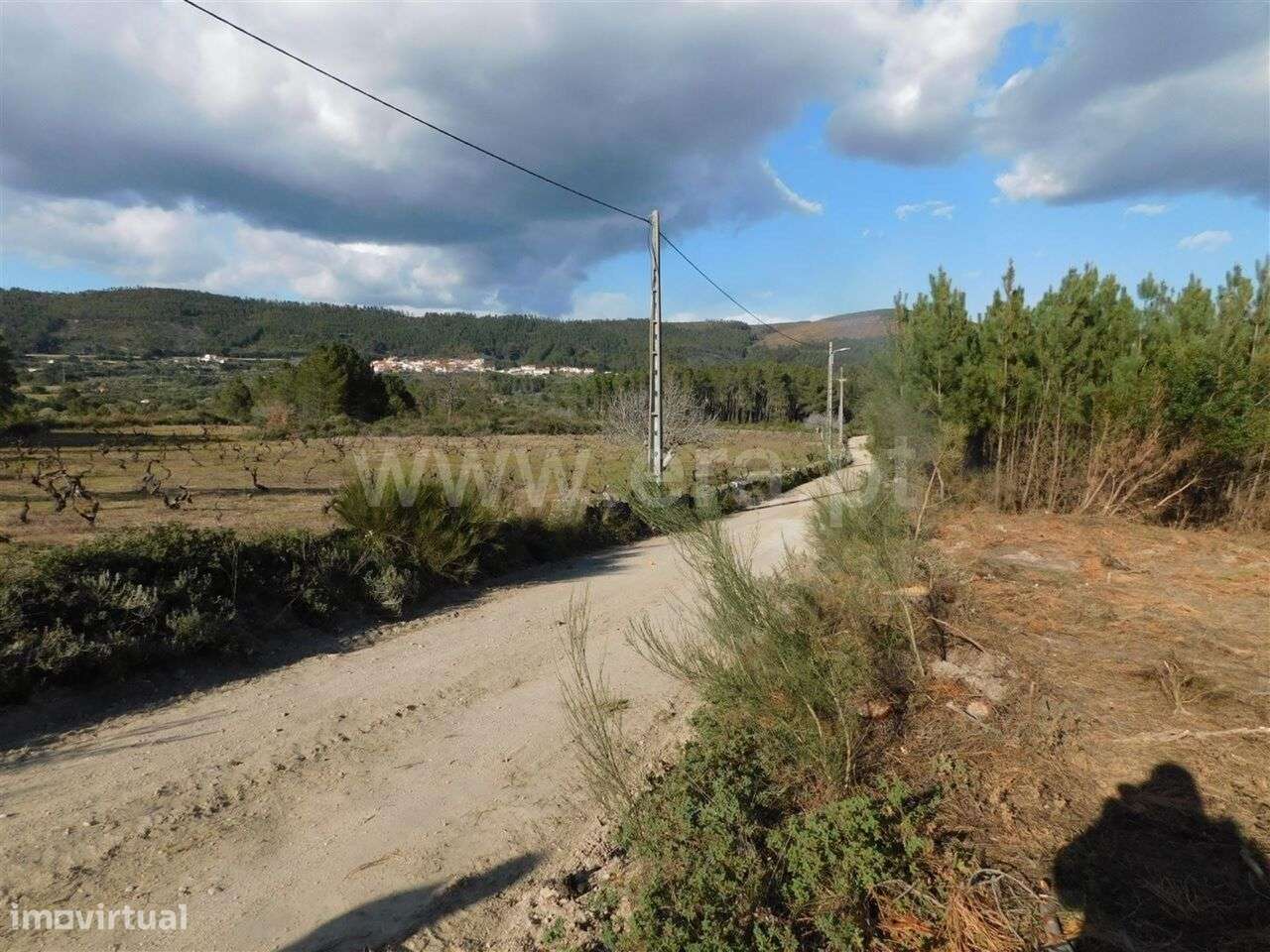 Quintinha / Fundão, Cortiçada - Grande imagem: 5/12