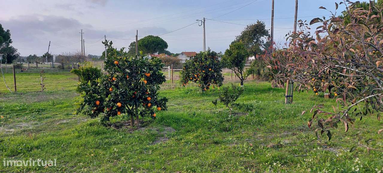 Quinta com Moradia para vender na Herdade de Almada em Foros de Almada-22