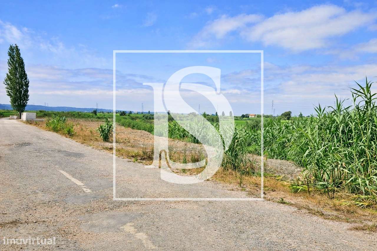 Moradia T3 Venda em Samuel,Soure-51
