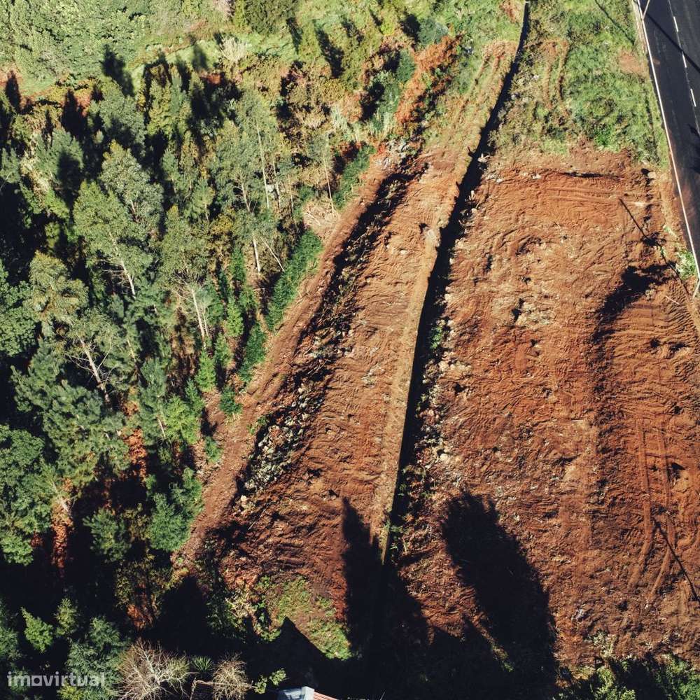 Terreno Rústico com Viabilidade de Construção - Camacha - Grande imagem: 4/5