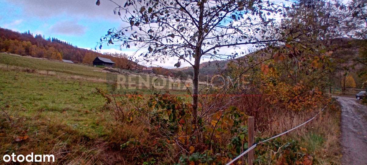 Działka budowlana w Kamionkach - Pełny obrazek: 4/5