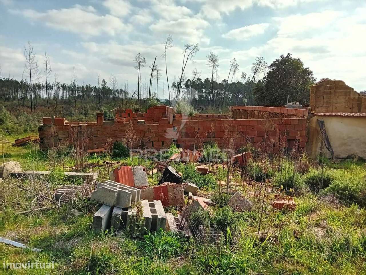 Moradia T3  para recuperar - Grande imagem: 5/6