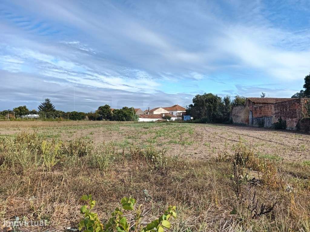 Terreno para Construção - Moradias- Eixo / Aveiro - Grande imagem: 3/15