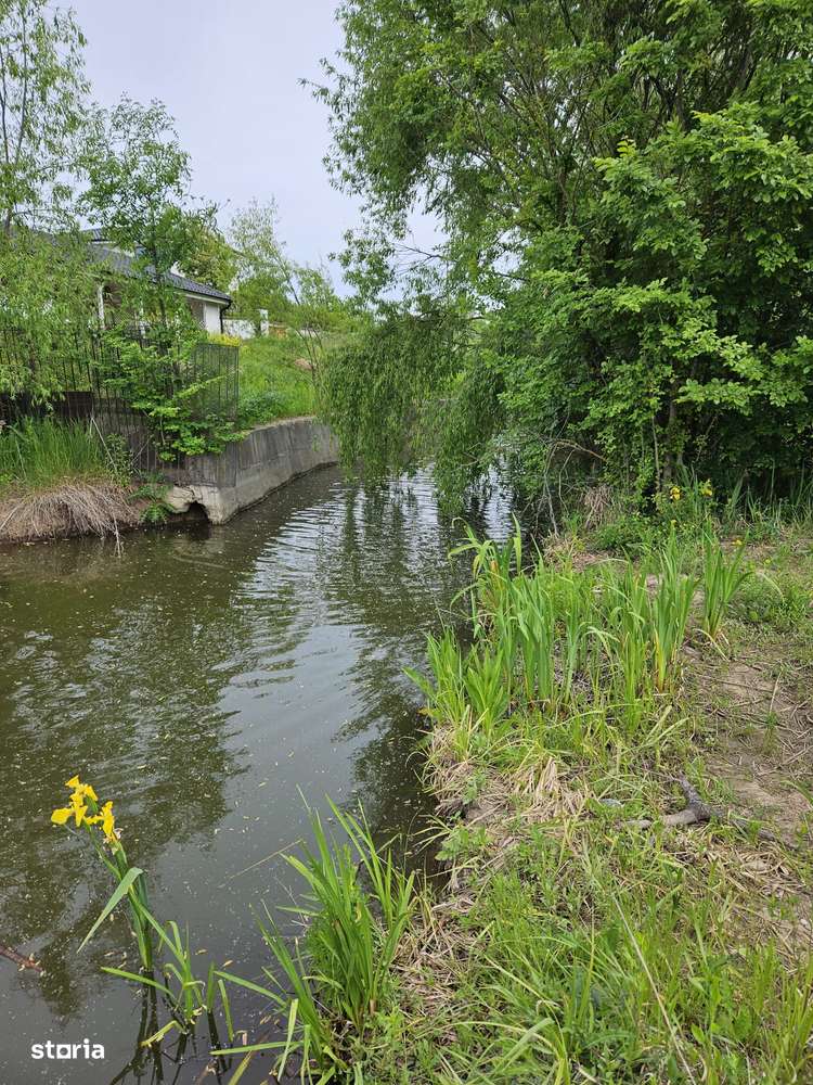 Teren intravilan Snagov-Ghermanesti DJ101b-2