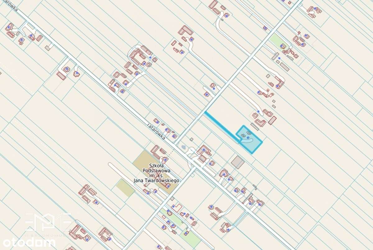 Grunt inwestycyjny 4000 m2 (40 a) - Zemborzyce Dln - Pełny obrazek: 4/4