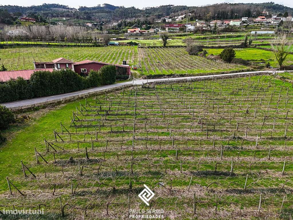 Magnífica quinta para reabilitar em Guimarães - Grande imagem: 4/24