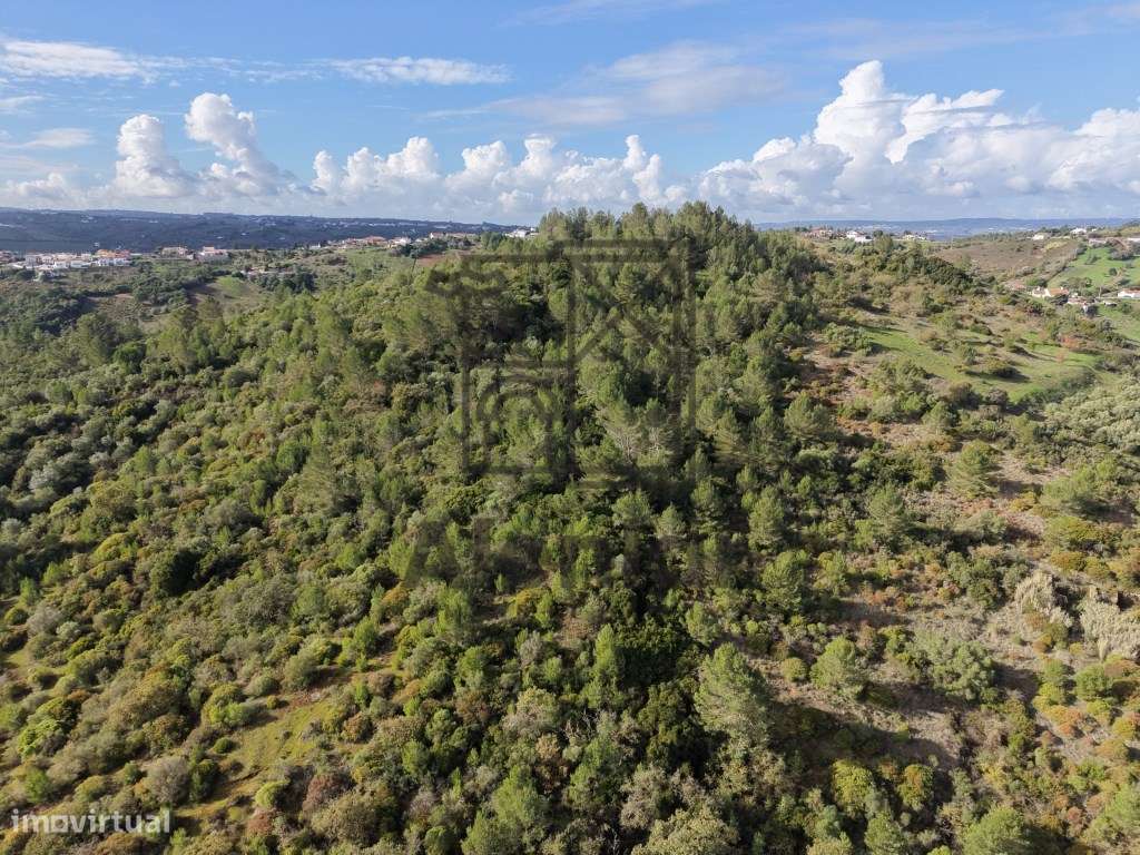 Oportunidade Única de Investimento Agrícola em Alenquer-11