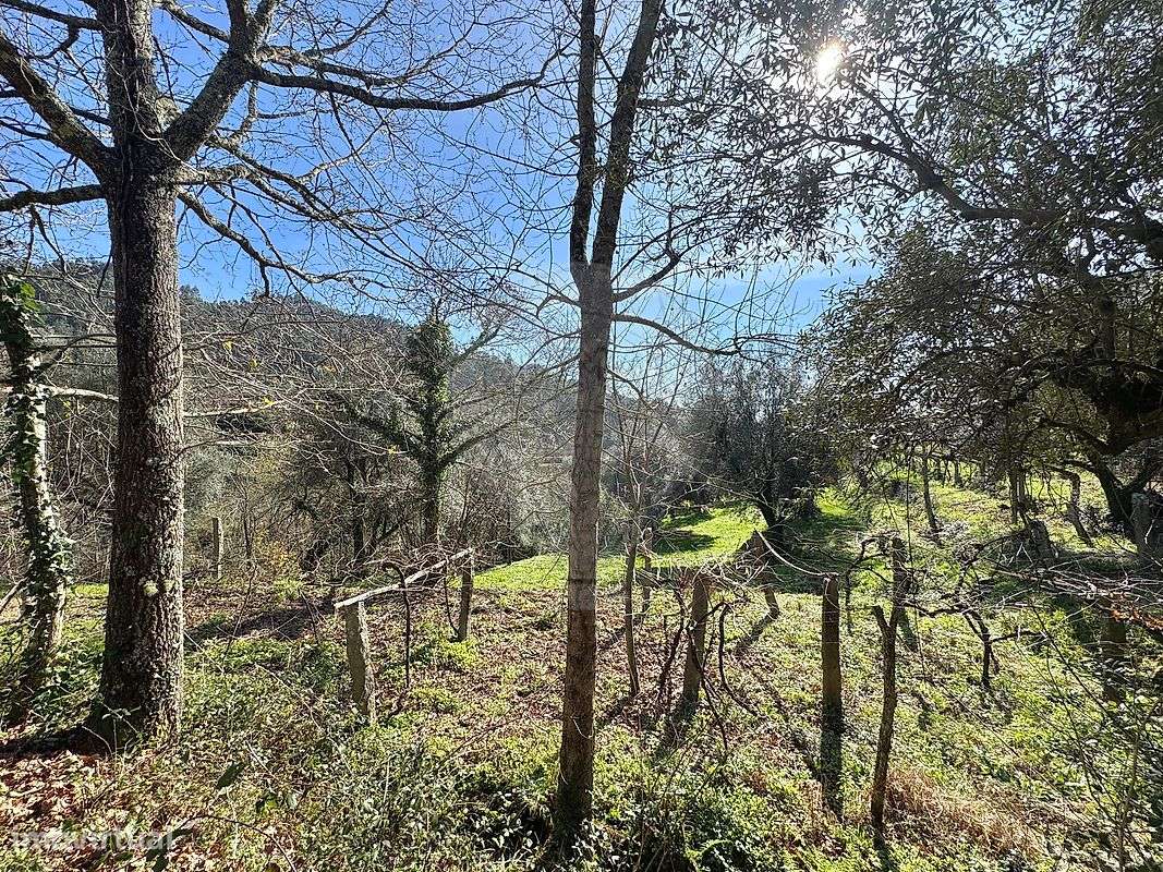 Terreno  para venda-15