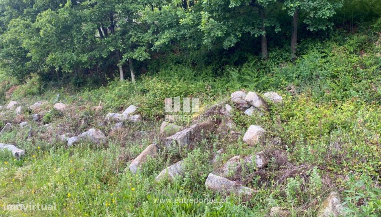 Venda Terreno com área de 8000 m2, São Lourenço do Douro, Marco de - Grande imagem: 4/29