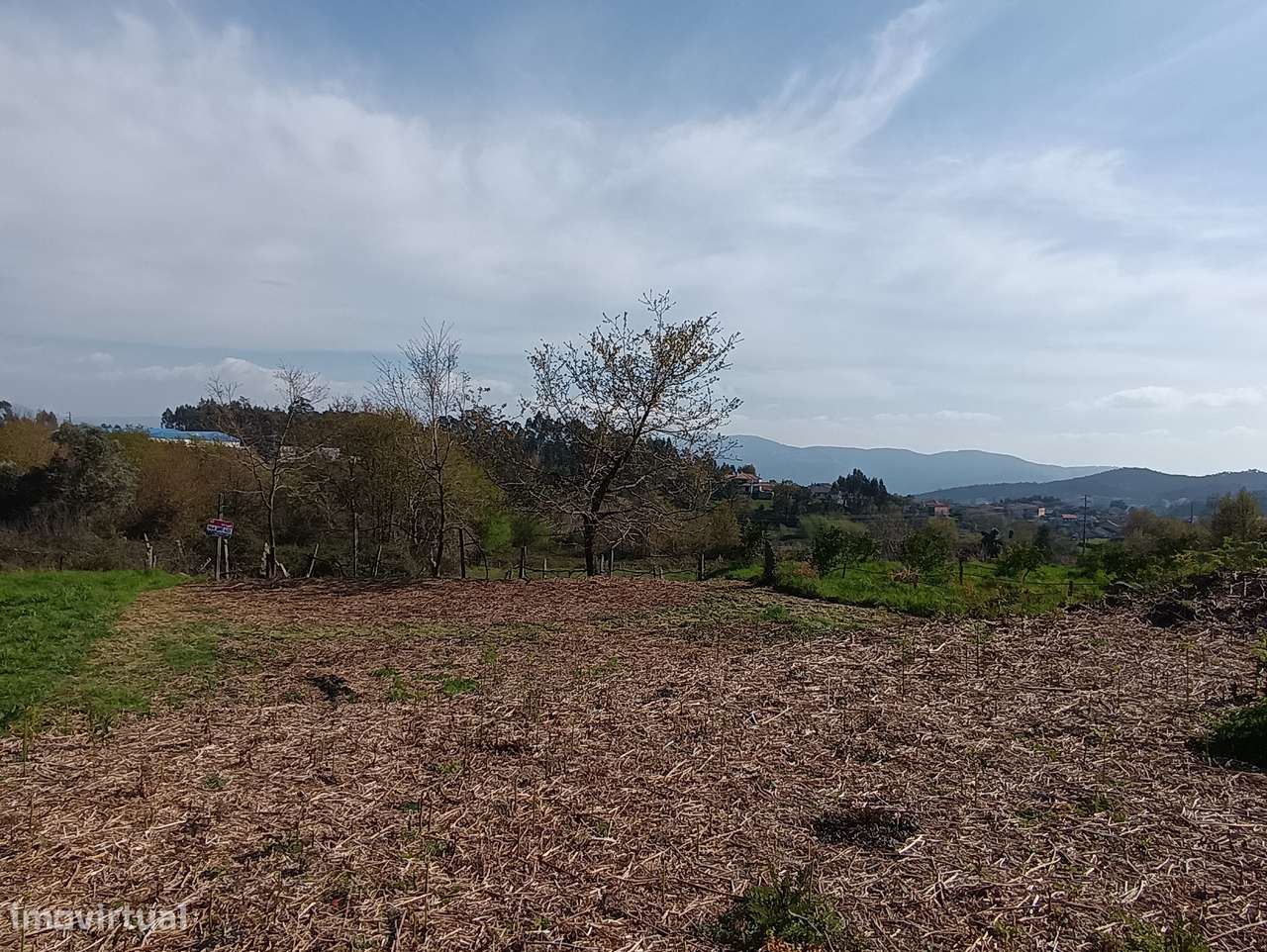 Terreno – Oliveira de Frades - Grande imagem: 5/12