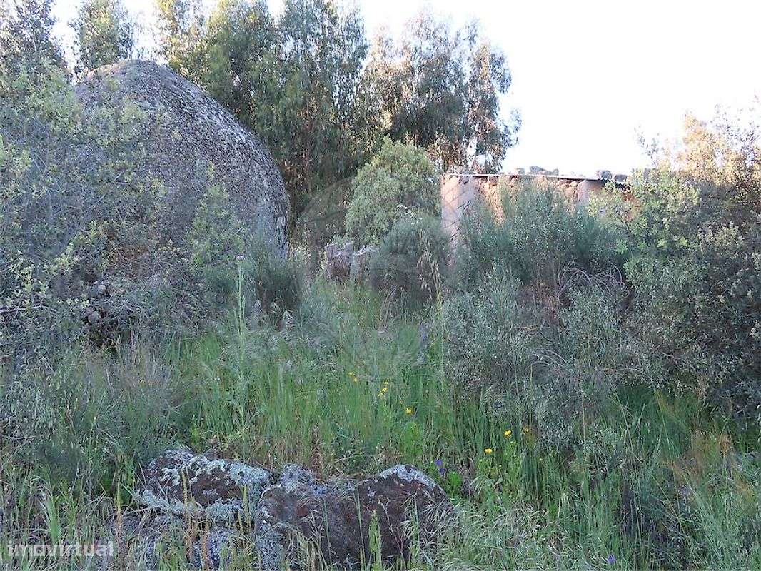 Quinta  para venda - Grande imagem: 5/22