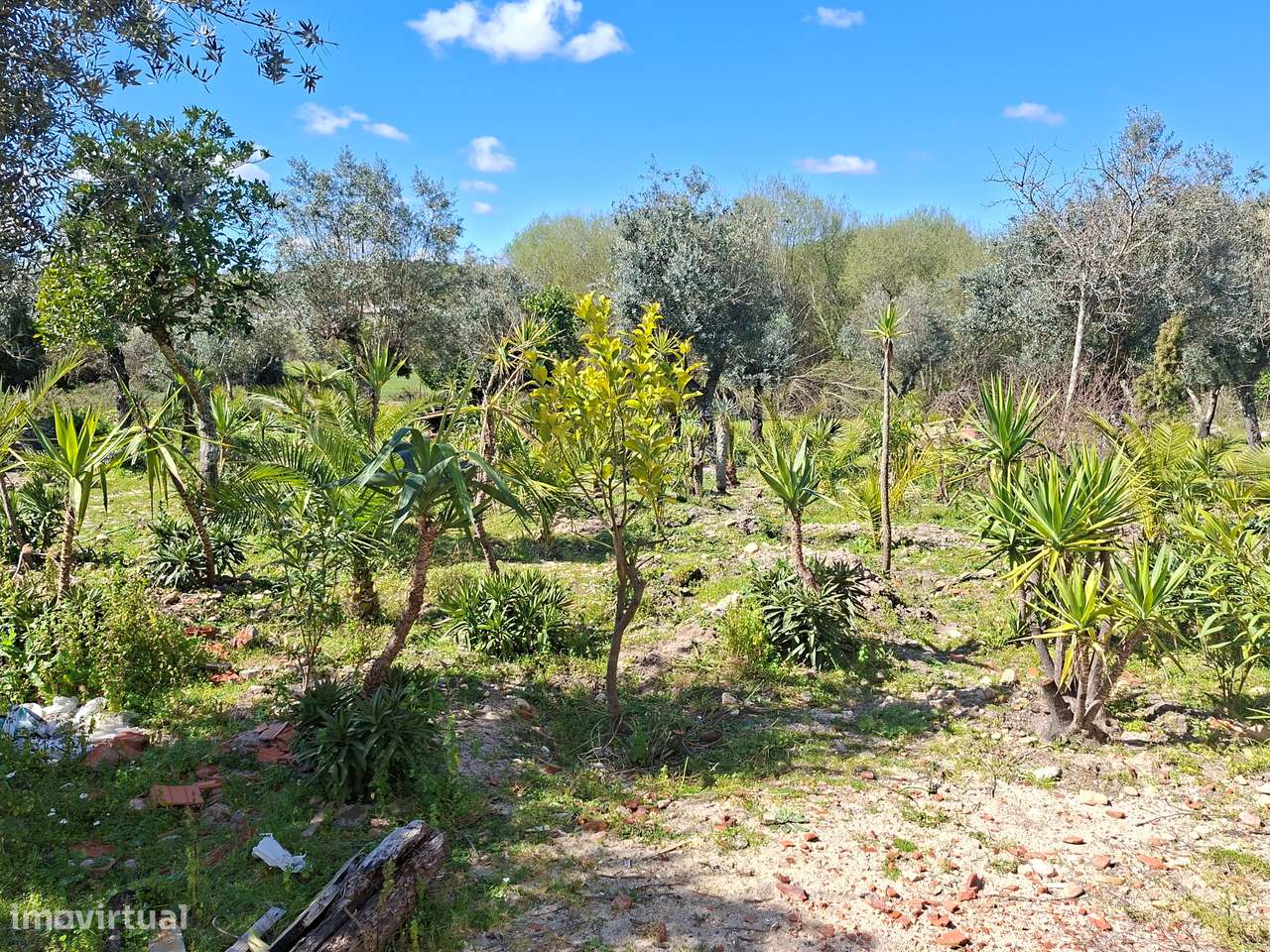 Quinta T5 Venda em Comenda,Gavião-17