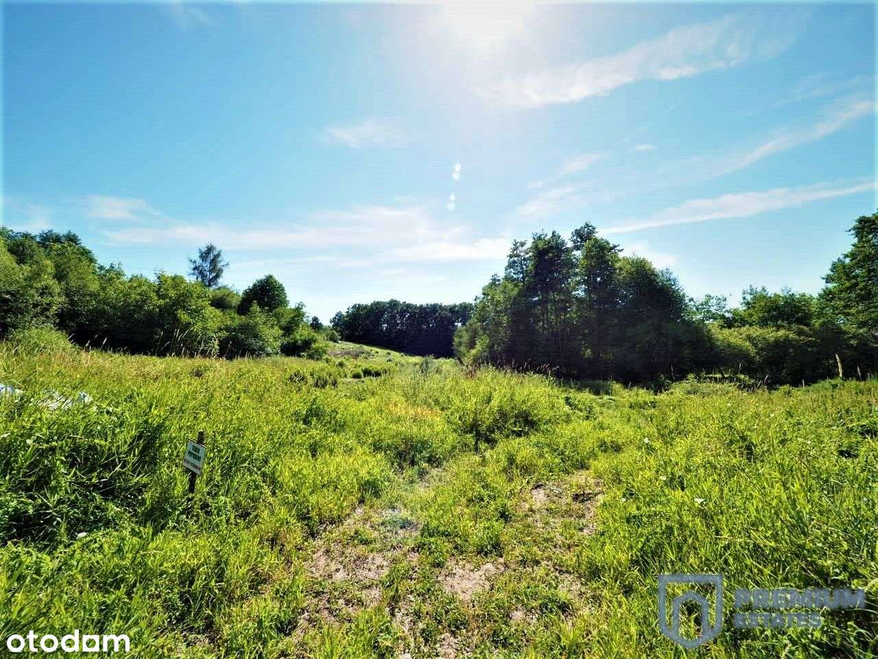 Działka inwestycyjna | 3 Projekty chłonności Pum-2