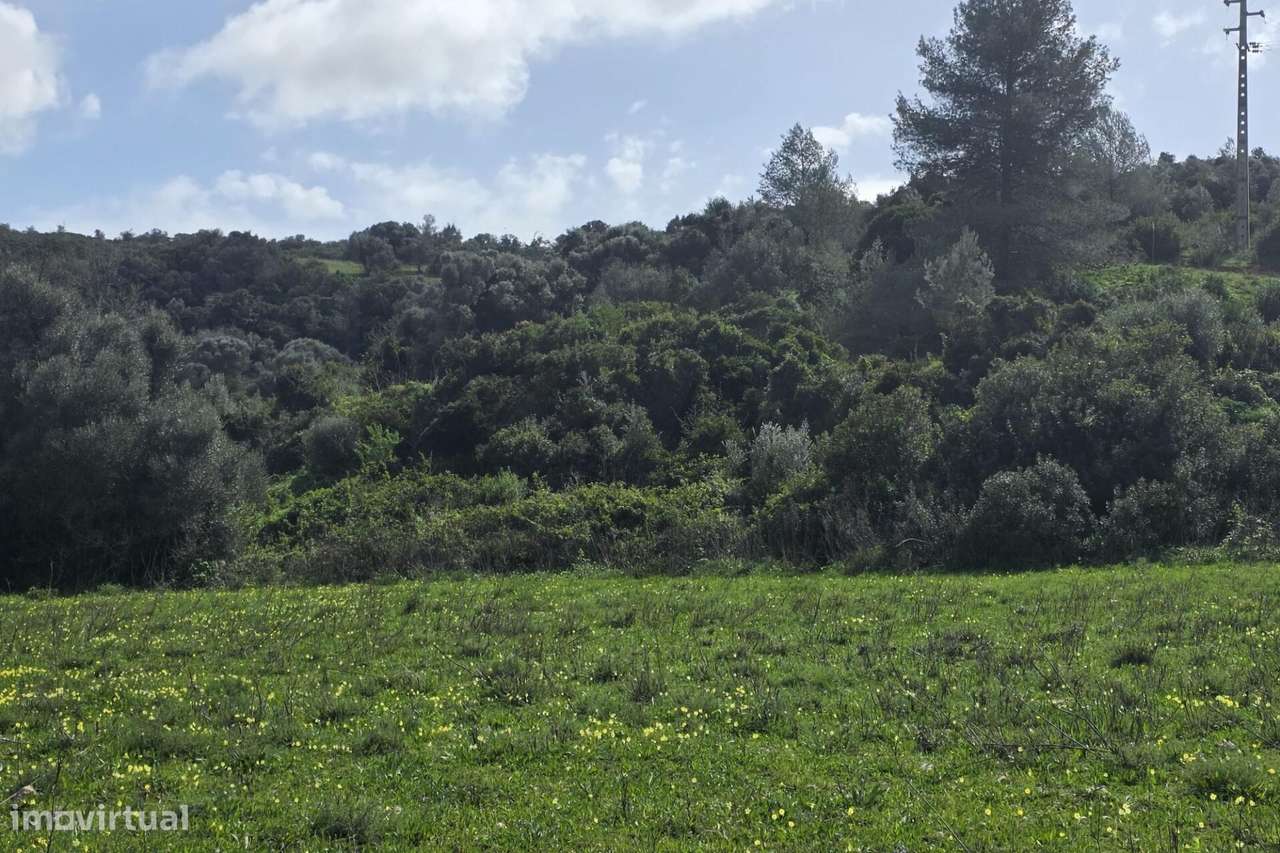 Terreno Rústico com 7.200m2 perto de Odiaxere.-2