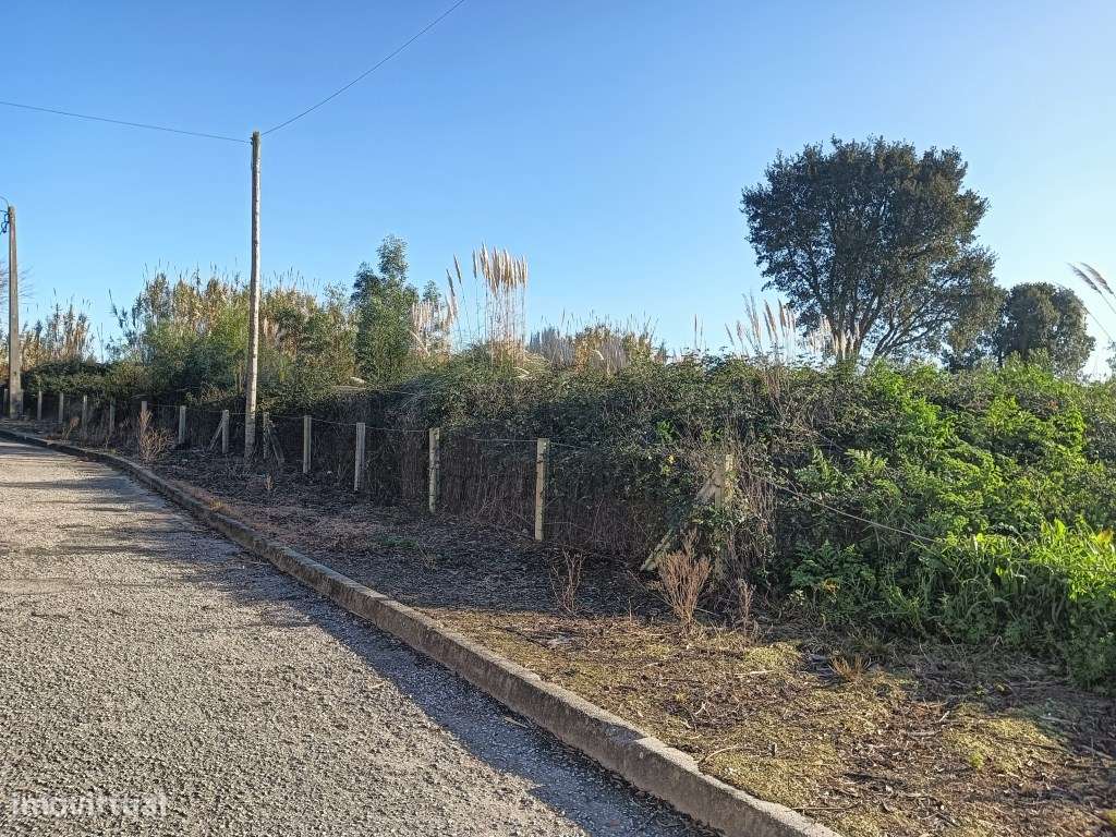 Terreno com 60m de frente - São Bernardo / Aveiro - Grande imagem: 4/9