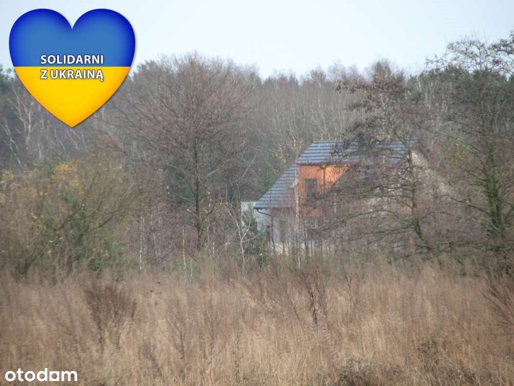 Niwy, działka budowlana 765m2 w otoczeniu lasu. - Pełny obrazek: 5/6