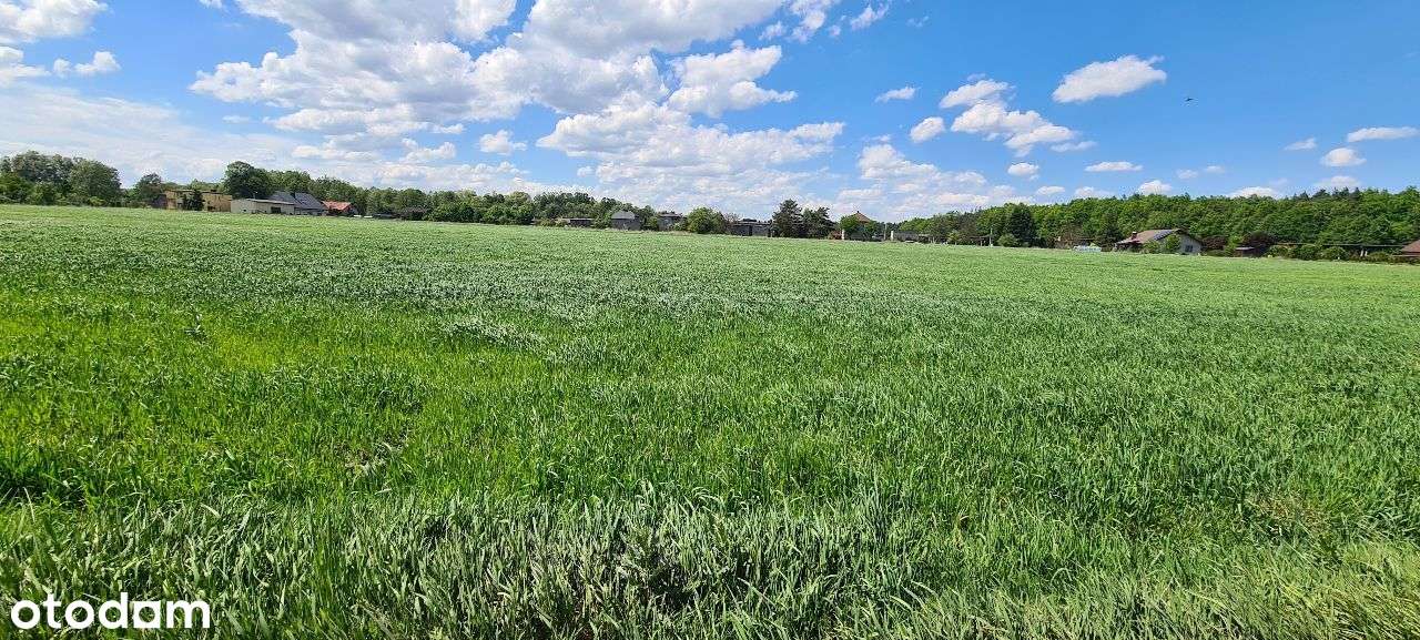 Orzesze działka idealna pod inwestycję - Pełny obrazek: 2/4