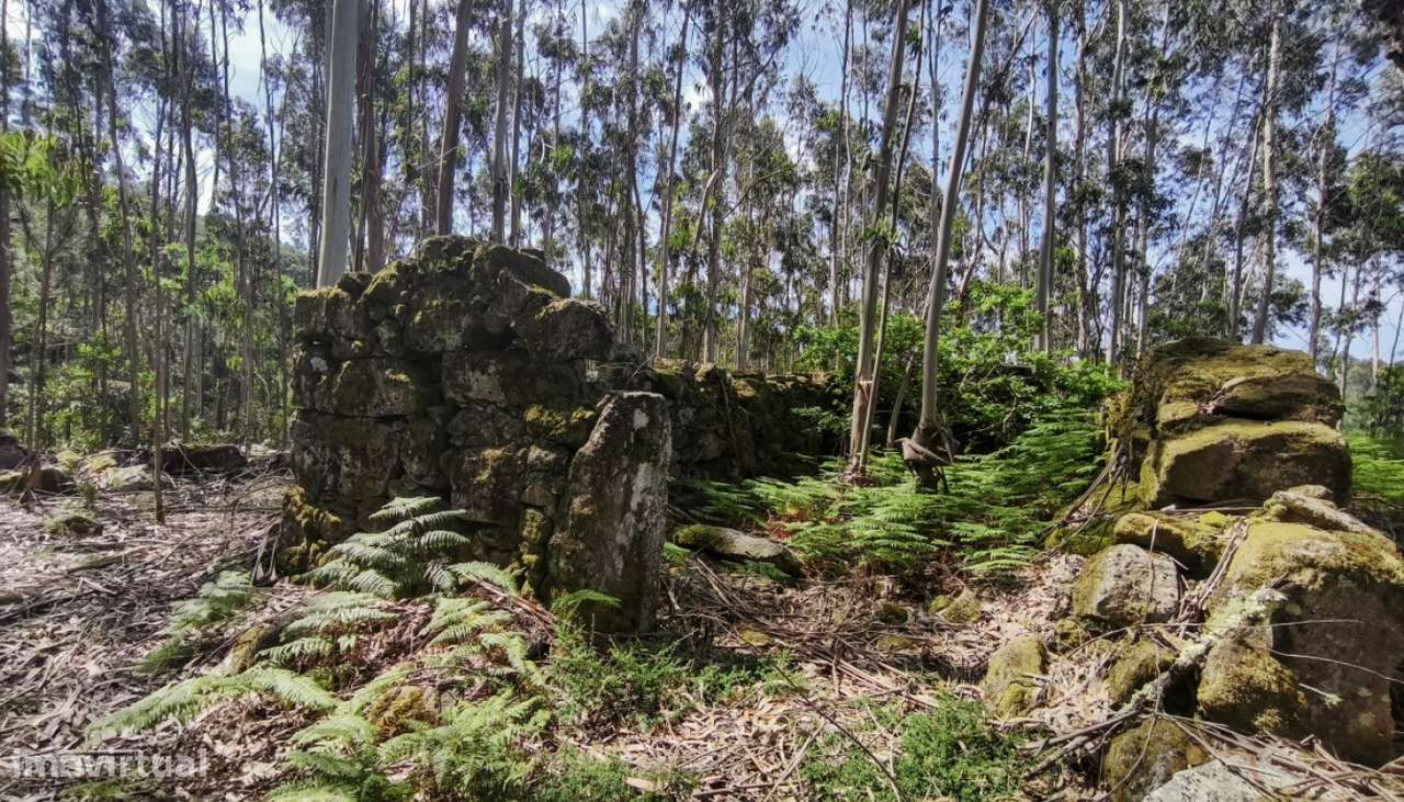 Venda de Quinta, Areosa, Viana do Castelo-17