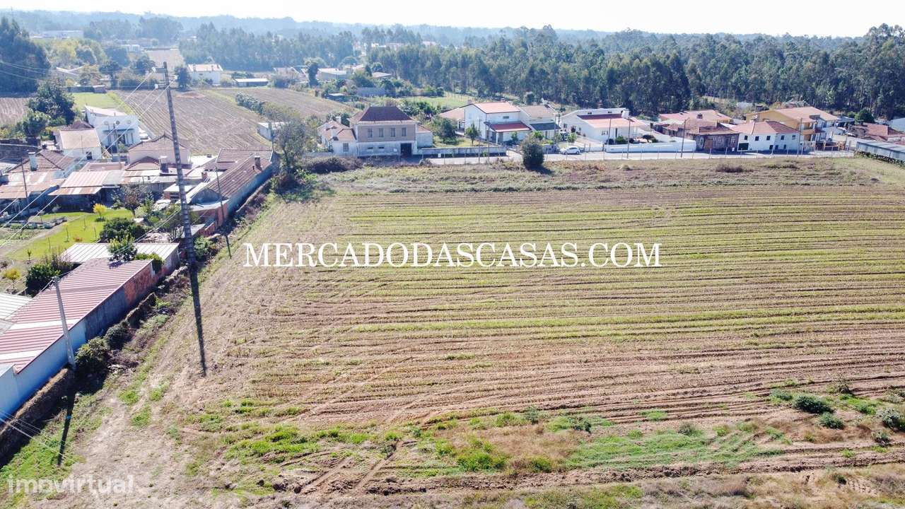 Terreno c/ 16,560m2 - São Miguel de Souto-8