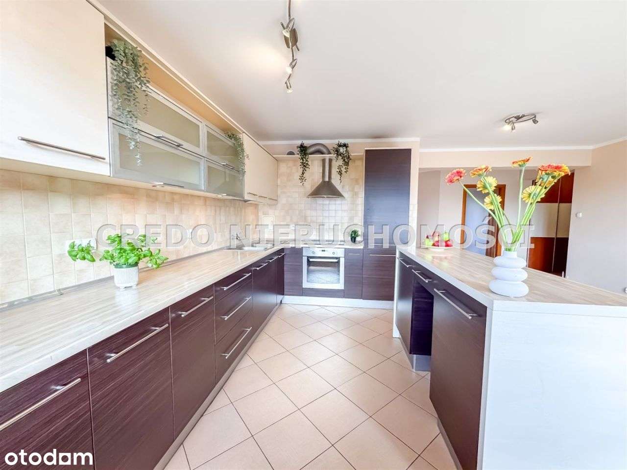 4-pokojowe mieszkanie z potencjałem, Barcza - Pełny obrazek: 4/20