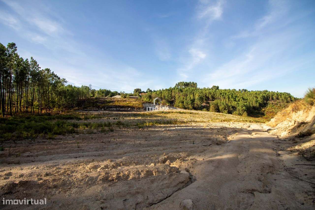 Terreno 40.000 m², Carragoso, Viseu - Grande imagem: 3/10