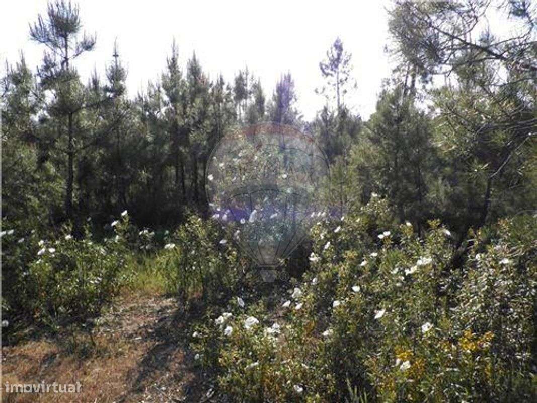 Quinta T0 para venda - Grande imagem: 5/14