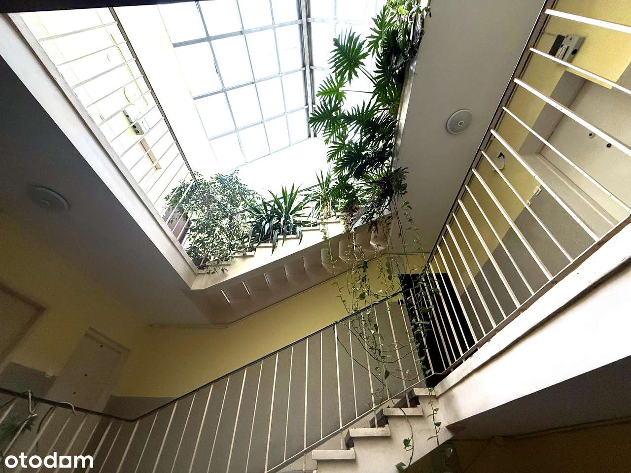 Centrum Stare Miasto Media Miejskie Widok Panorama Rozkładowe-16