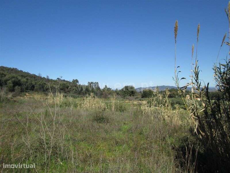 Terreno / Fundão, Telhado - Grande imagem: 4/10