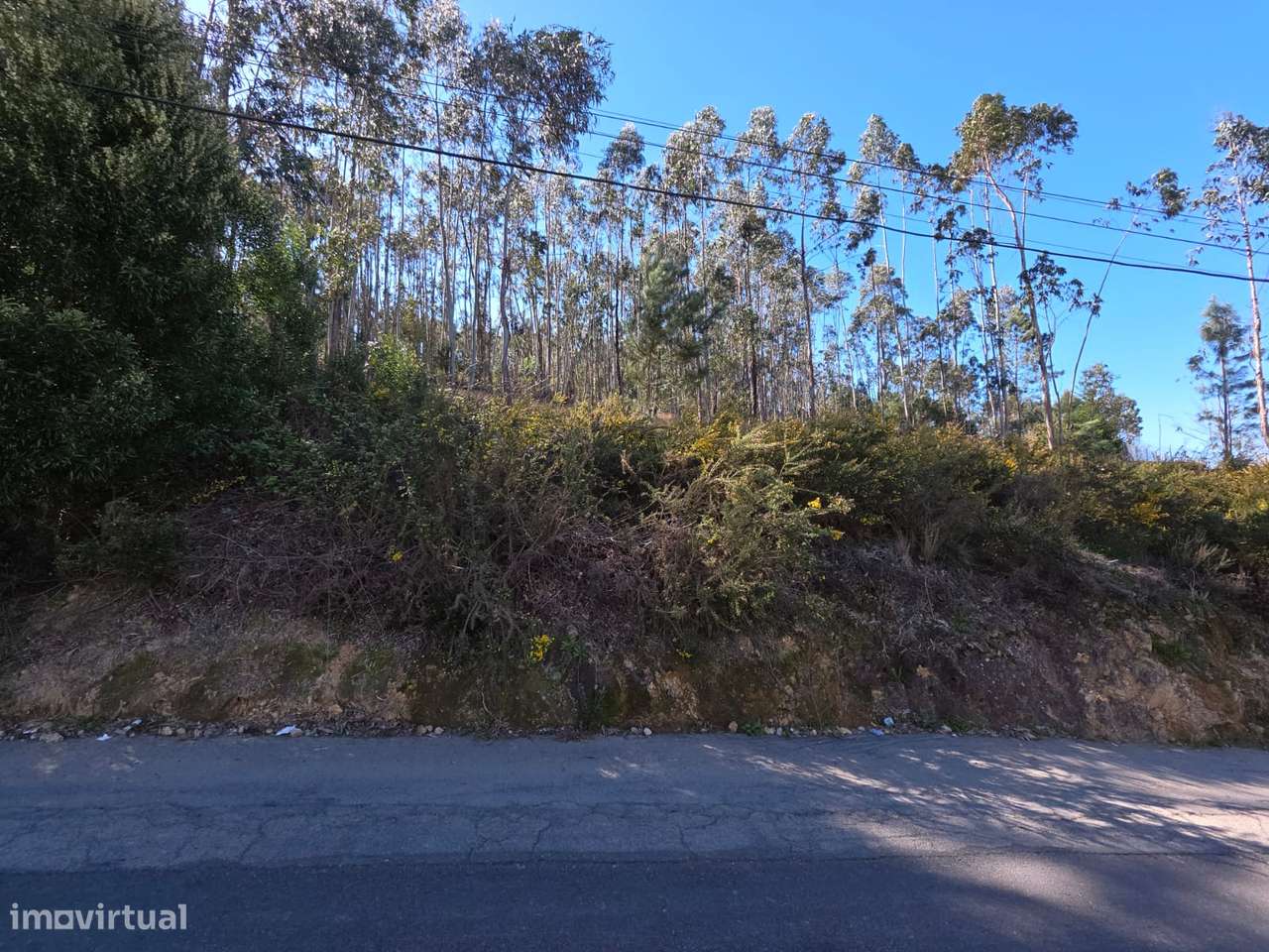 Terreno para construção em Sanguedo - Grande imagem: 5/6