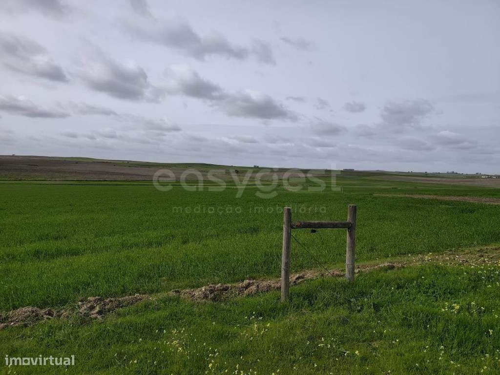 Terreno Rústico com área total de 93.875 m2, localizado na freguesi... - Grande imagem: 3/11