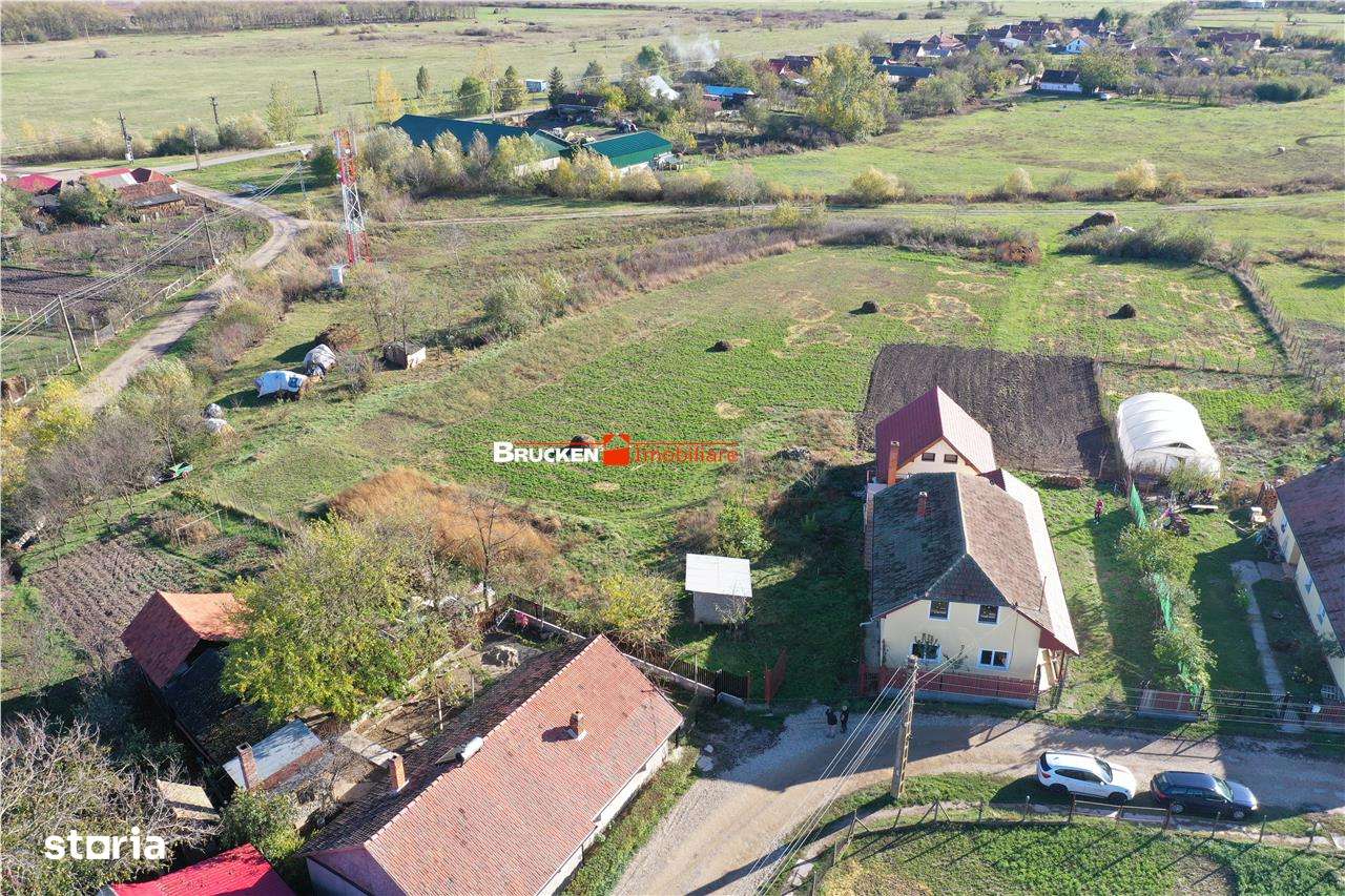 TEREN PENTRU CONSTRUCTIE CASE - Imagine principală: 5/5