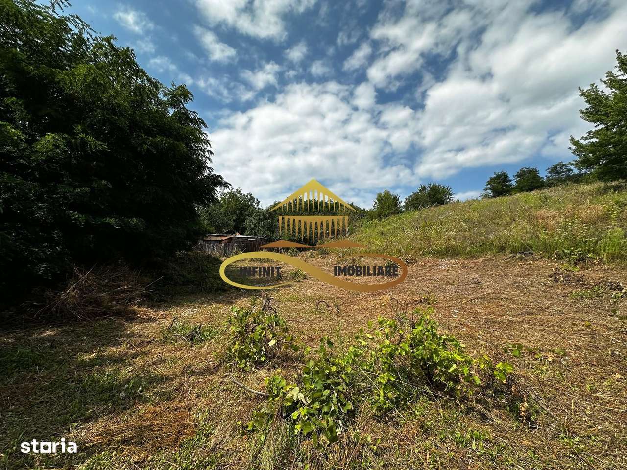 Teren extravilan 1870 mp-de vanzare 14€/mp Sohodol / Bacau - Imagine principală: 5/7