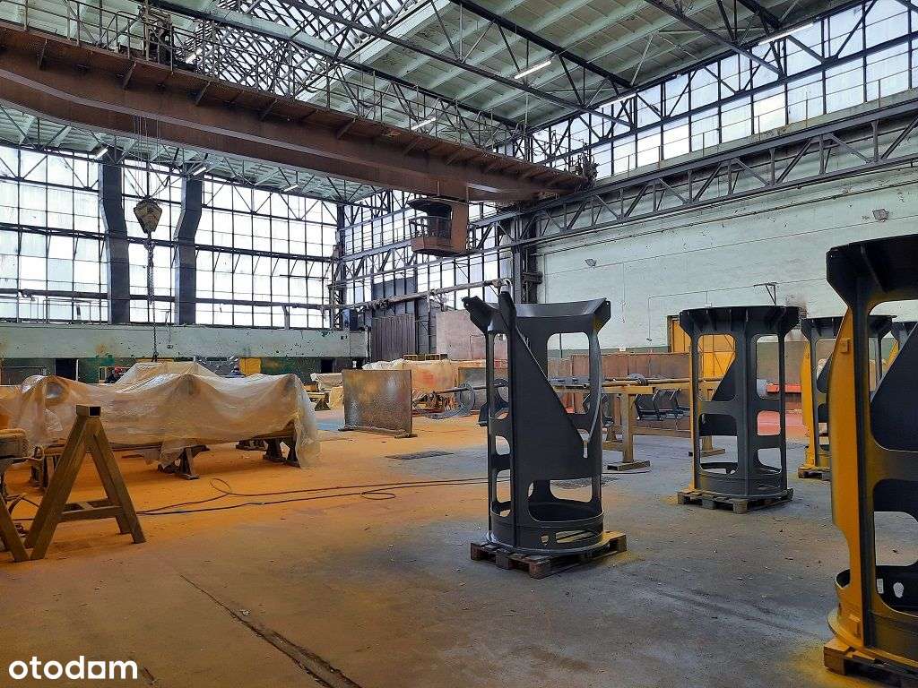 Hala przemysłowa z działką niezabudowaną - Pełny obrazek: 4/12