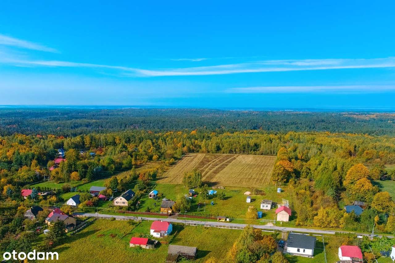 Siedlisko na szczycie Mazowsza – 3,8 ha z potencjałem rozwoju.-10